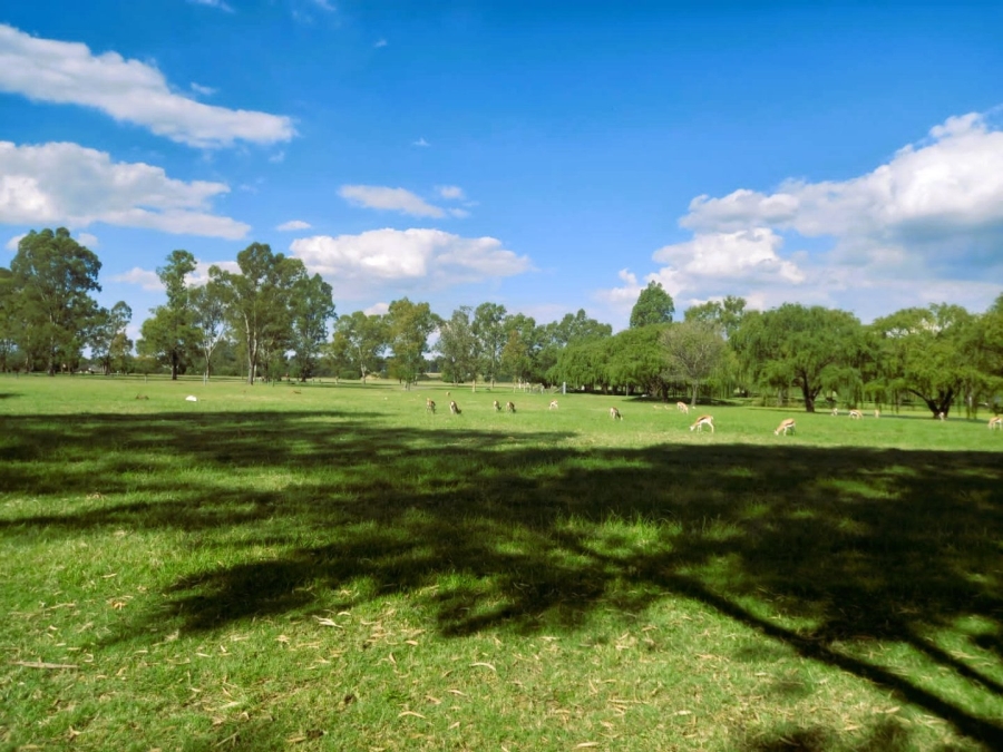 3 Bedroom Property for Sale in Riverside Beach Club Free State